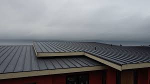 Best Metal Roofing Installation  in , ID